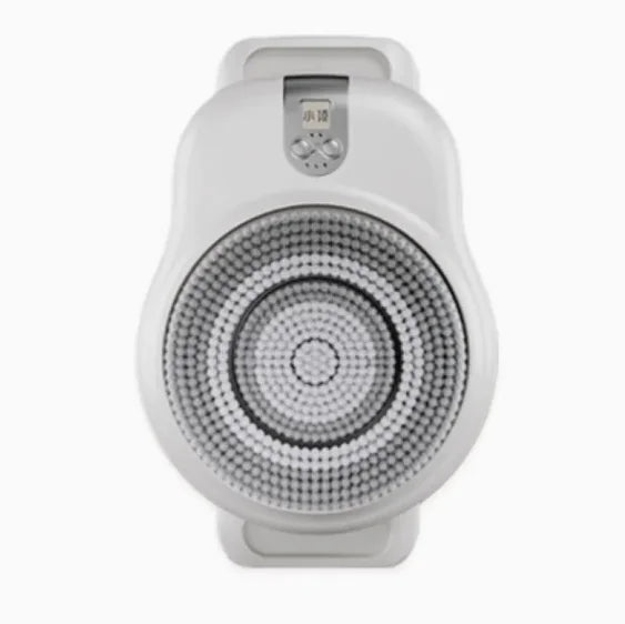 Wall-Mounted Intelligent Electric Shower Machine